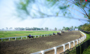 Merdeka Cup1