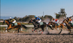Sport Tourism1