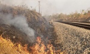 KAI Daop 7 Madiun Larang Keras Warga Bakar Jerami di Dekat Jalur Kereta IMG_20260714_160709