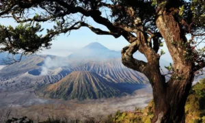 Bromo Kembali1