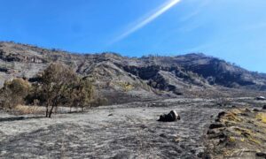 bromo02